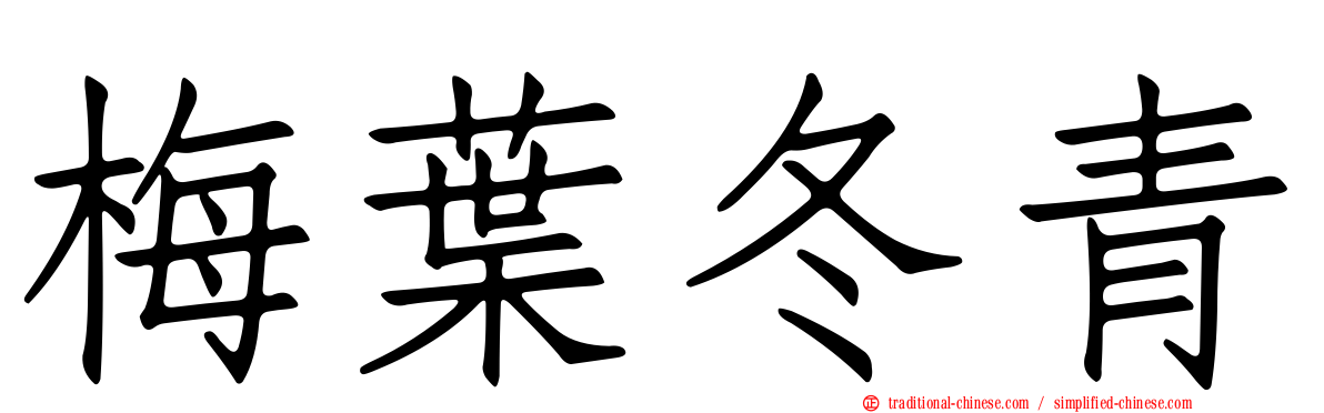 梅葉冬青