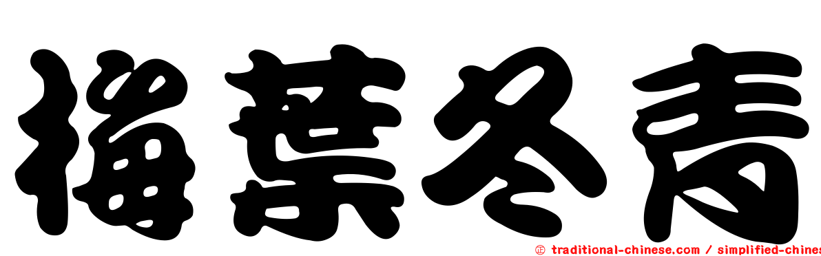 梅葉冬青