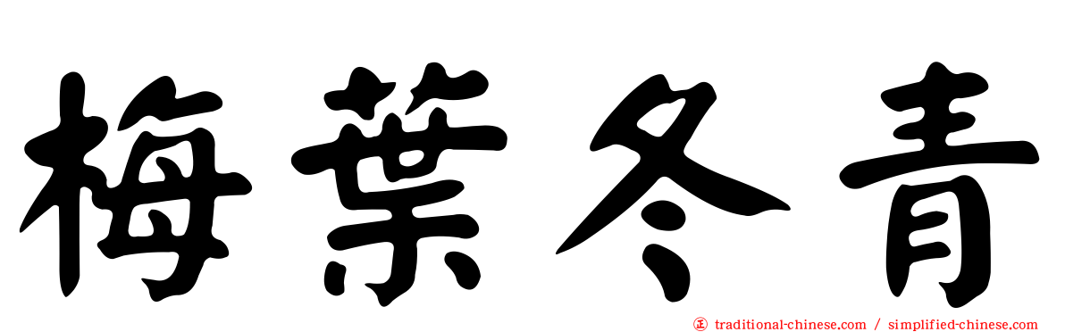梅葉冬青