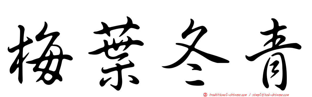 梅葉冬青