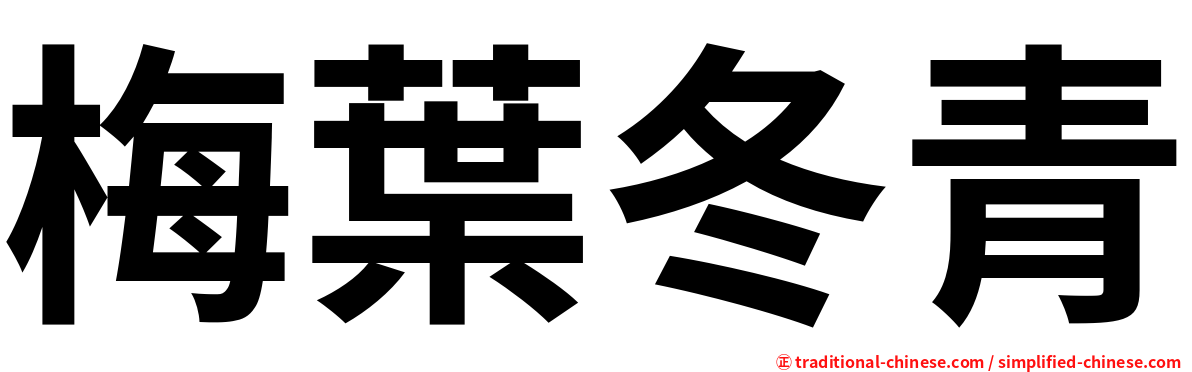 梅葉冬青