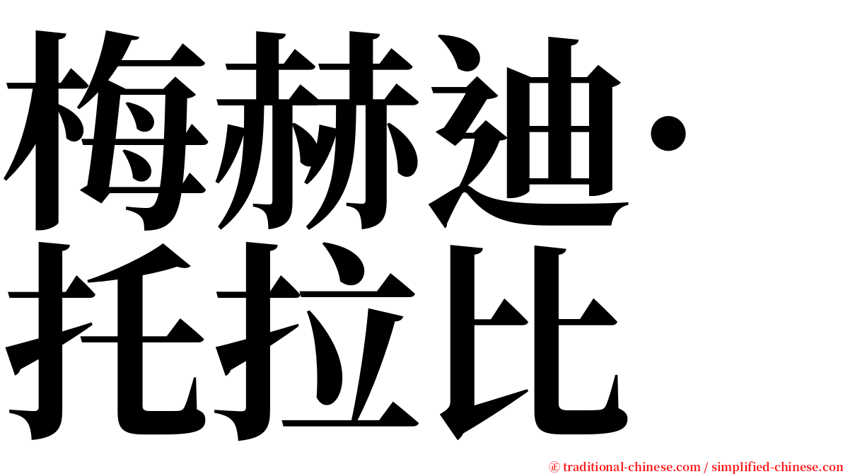 梅赫迪·托拉比 serif font