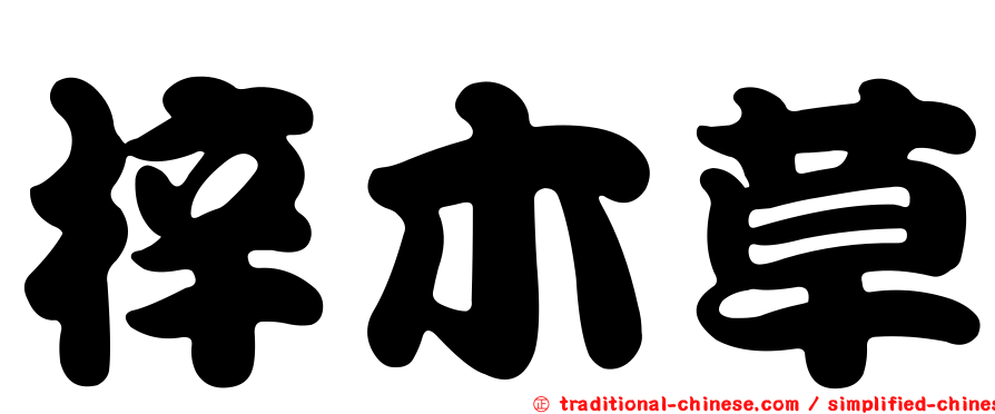 梓木草