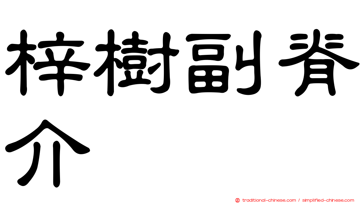 梓樹副脊介