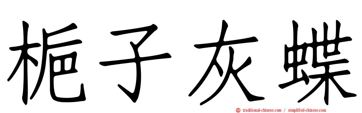 梔子灰蝶