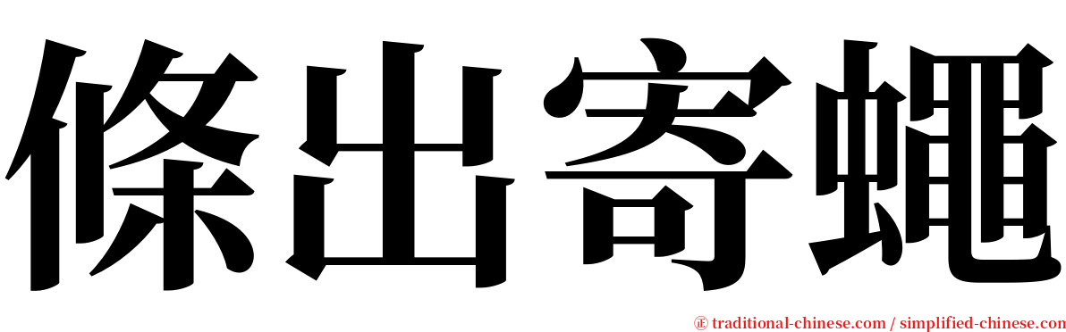 條出寄蠅 serif font