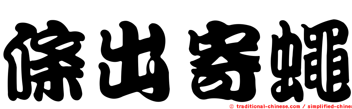 條出寄蠅