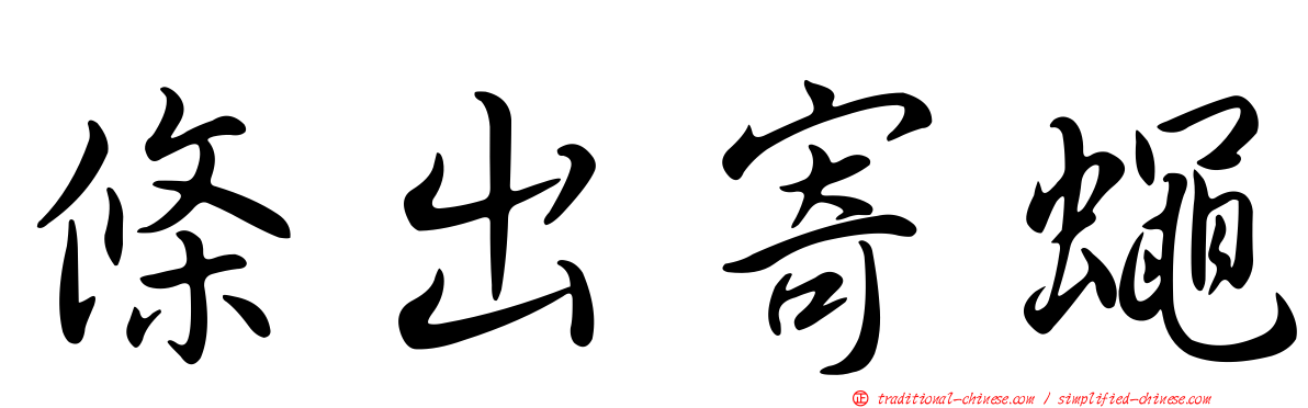 條出寄蠅