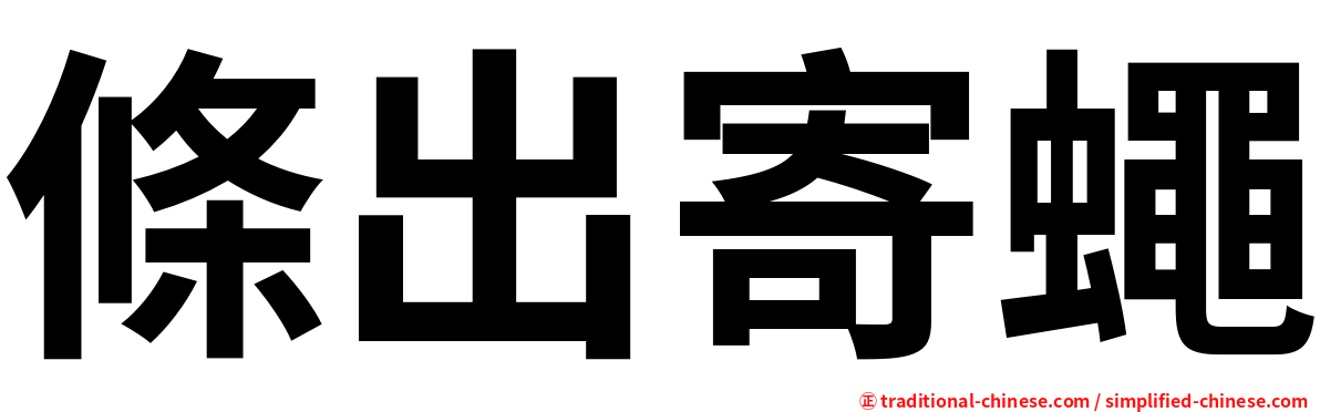 條出寄蠅