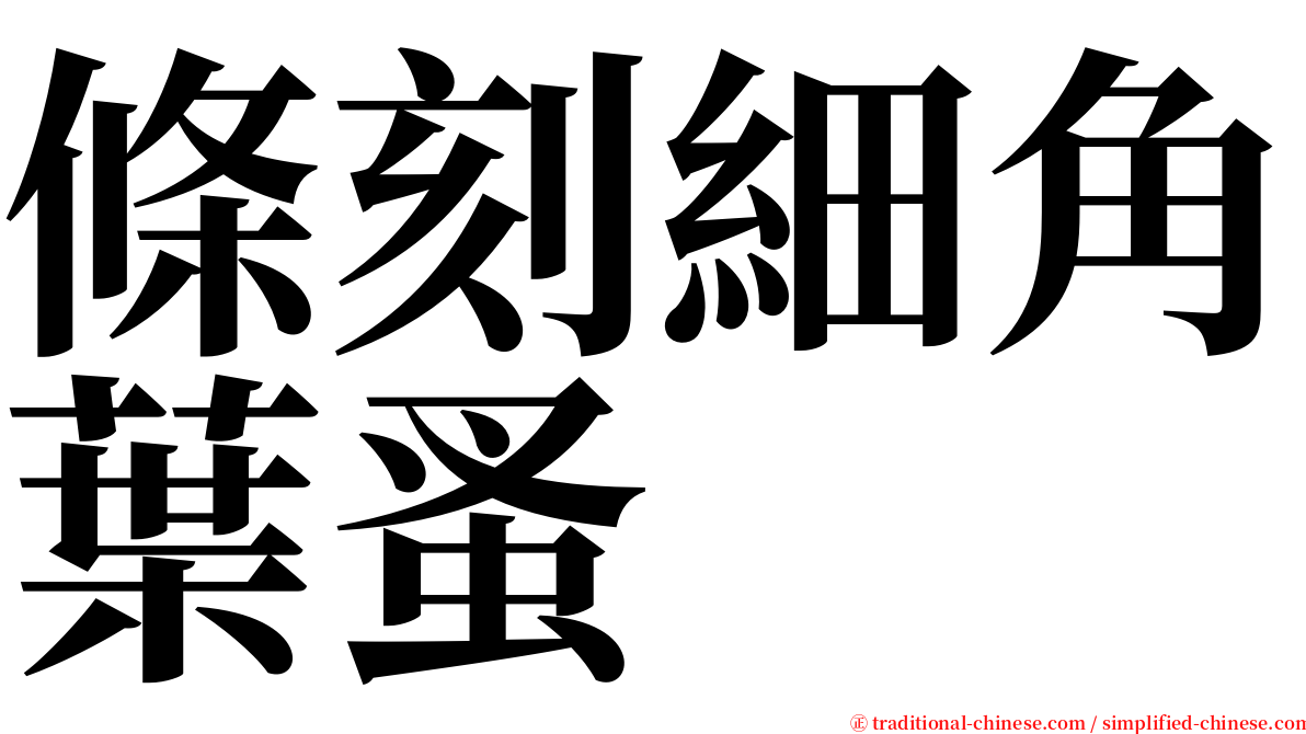 條刻細角葉蚤 serif font