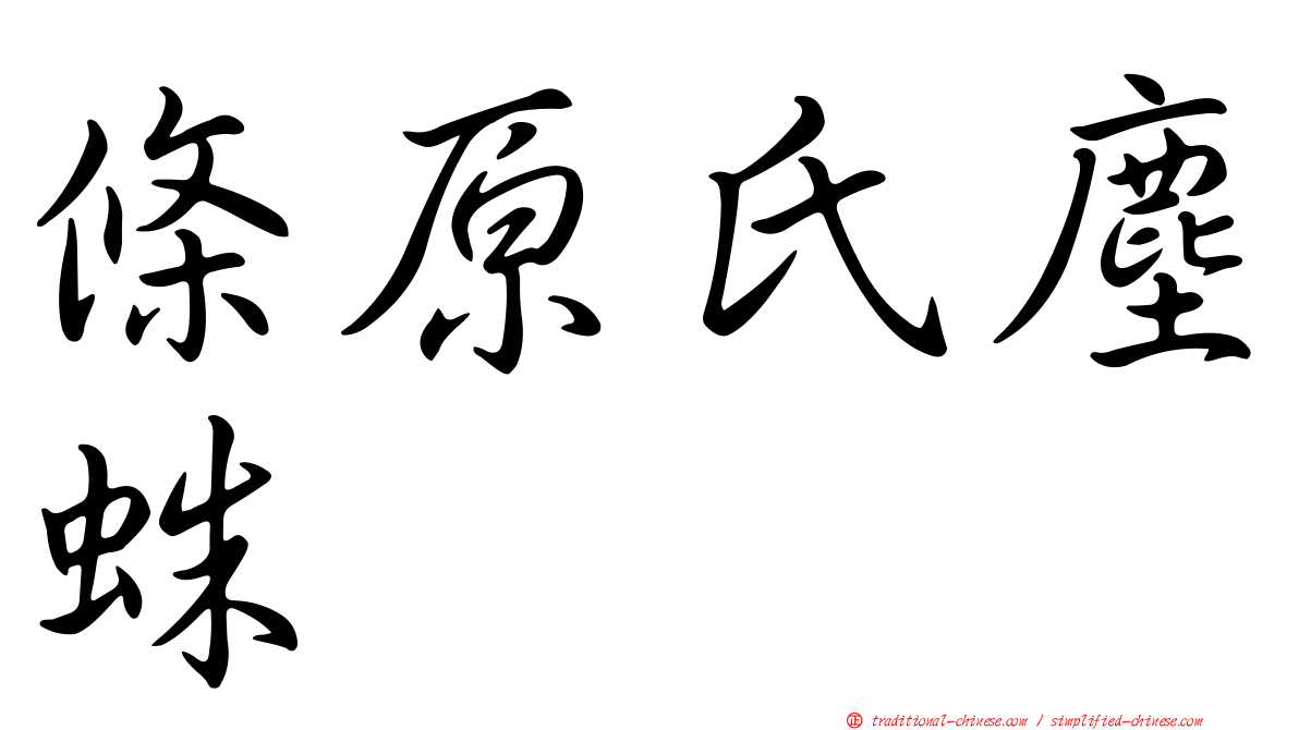 條原氏塵蛛