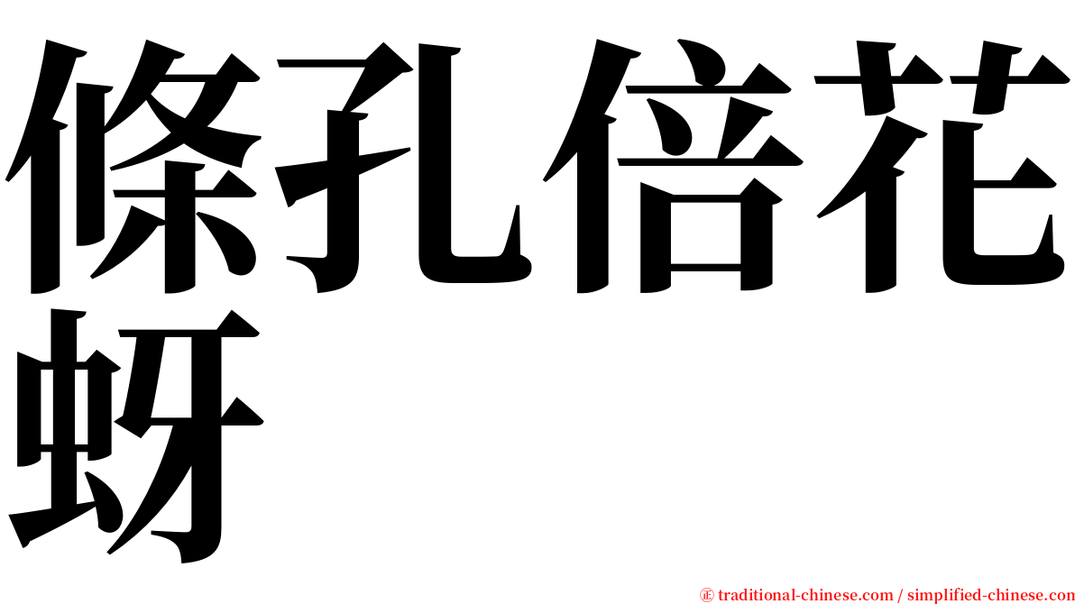 條孔倍花蚜 serif font