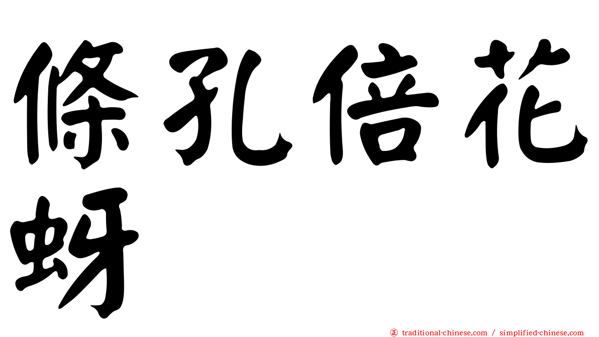 條孔倍花蚜