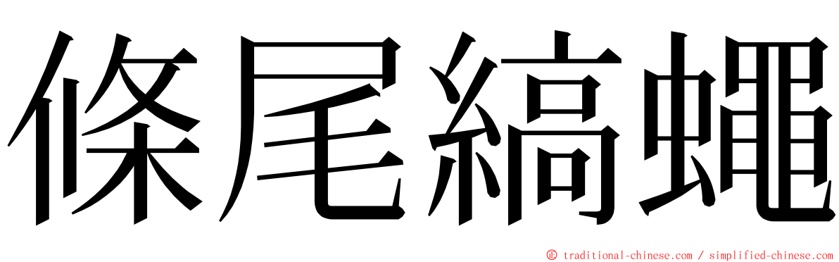 條尾縞蠅 ming font