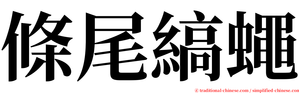 條尾縞蠅 serif font