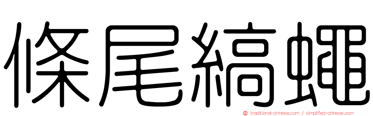 條尾縞蠅