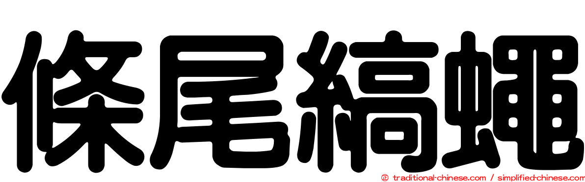 條尾縞蠅