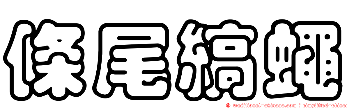 條尾縞蠅