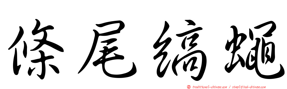 條尾縞蠅