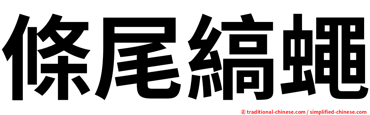 條尾縞蠅