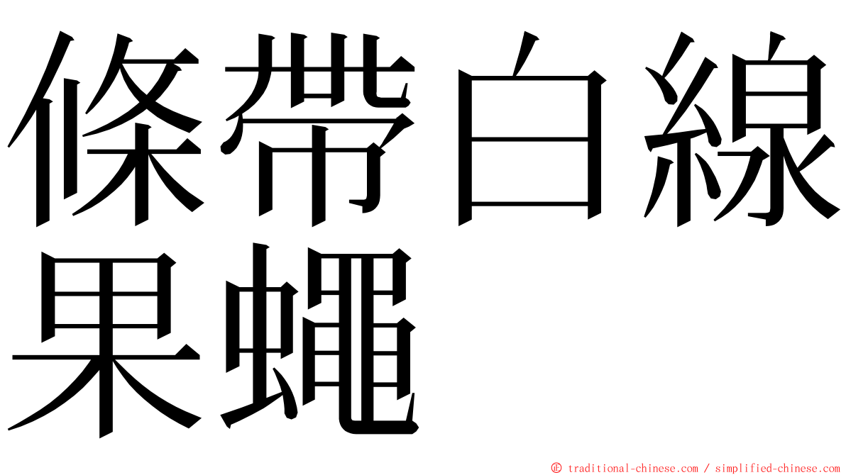 條帶白線果蠅 ming font