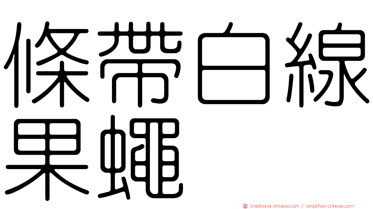 條帶白線果蠅