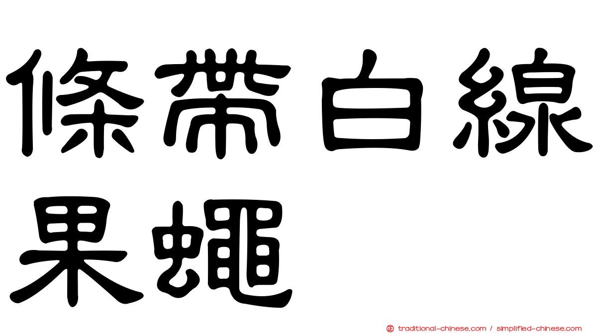 條帶白線果蠅