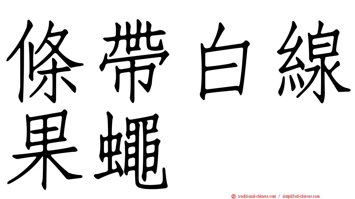 條帶白線果蠅
