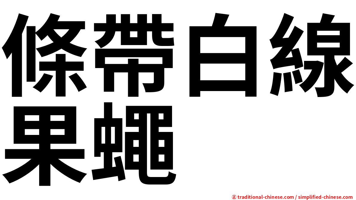 條帶白線果蠅