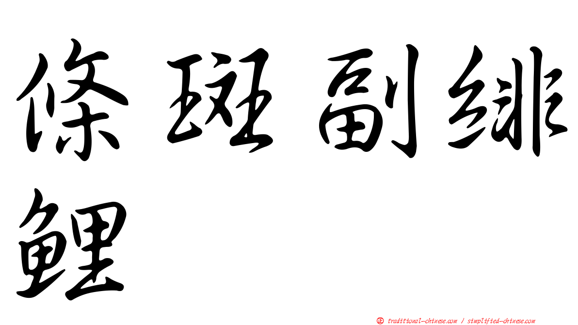 條斑副緋鯉
