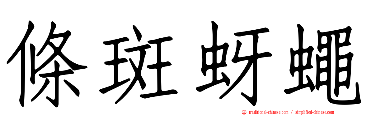 條斑蚜蠅