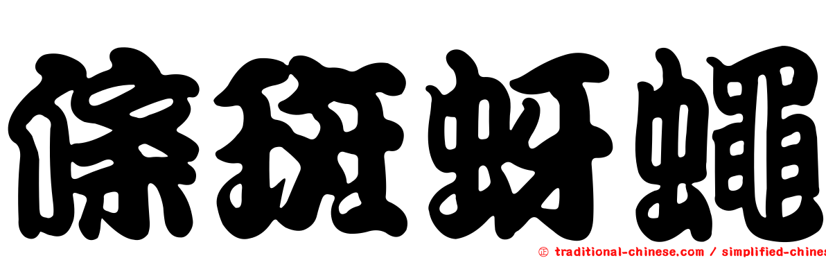 條斑蚜蠅
