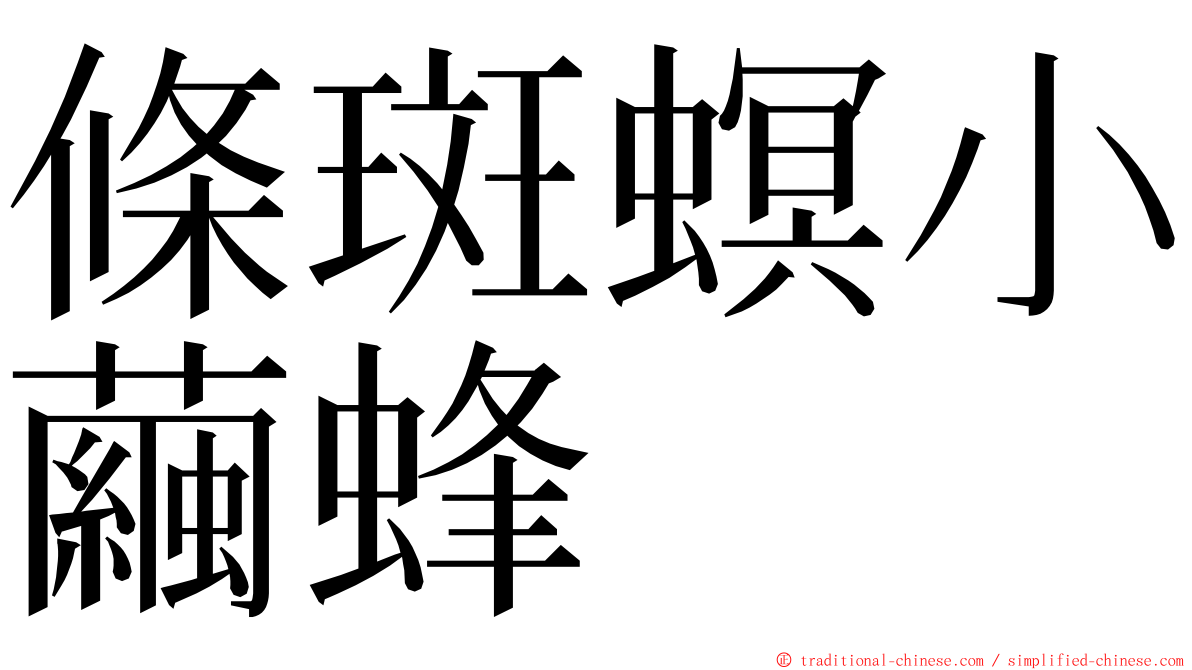 條斑螟小繭蜂 ming font