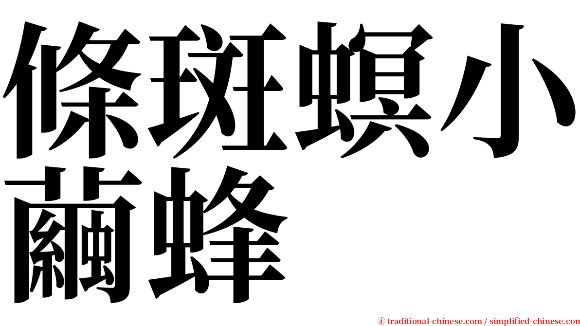 條斑螟小繭蜂 serif font