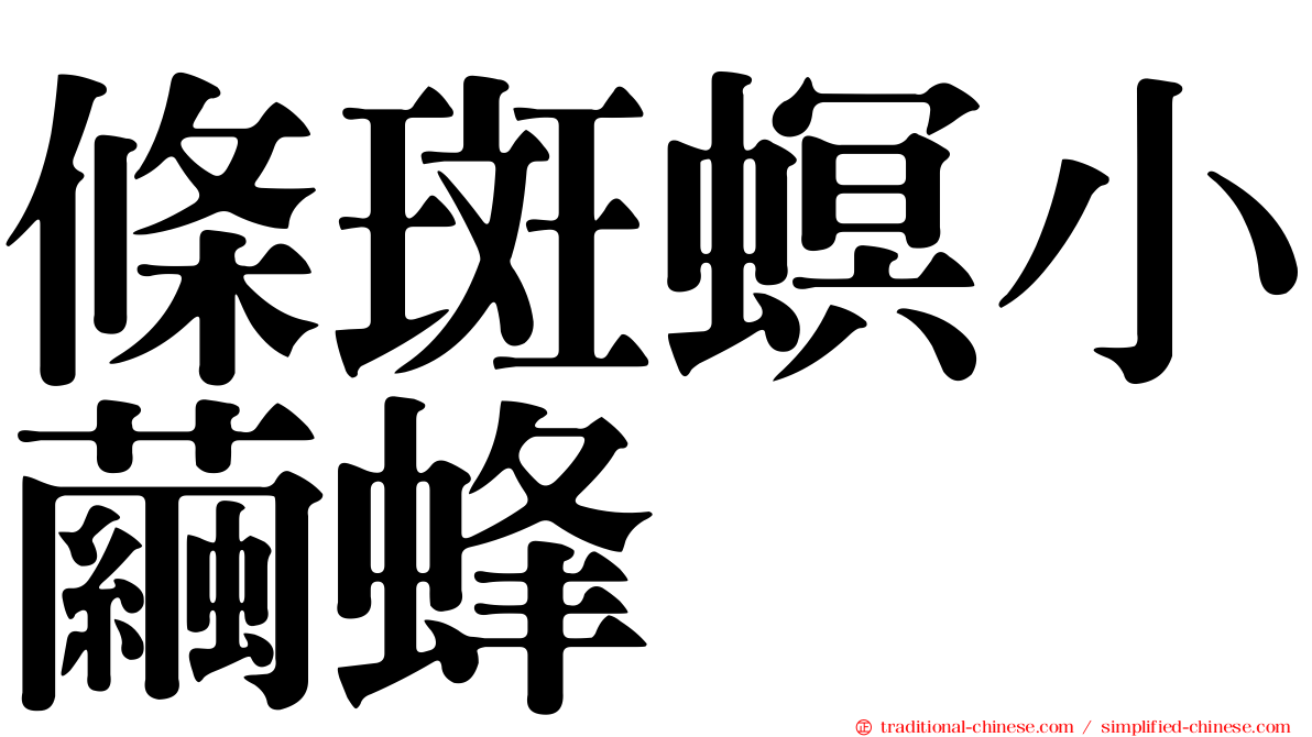 條斑螟小繭蜂