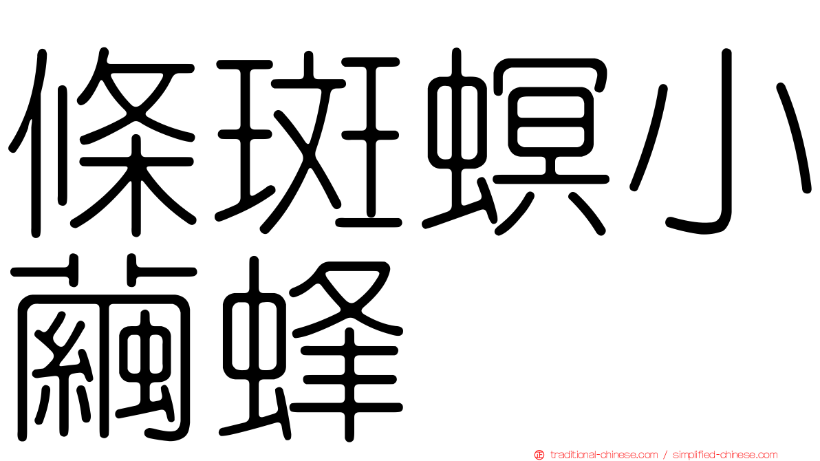 條斑螟小繭蜂