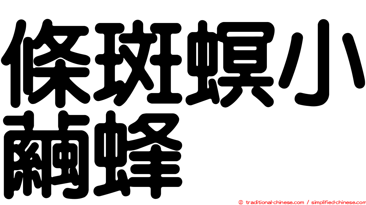 條斑螟小繭蜂