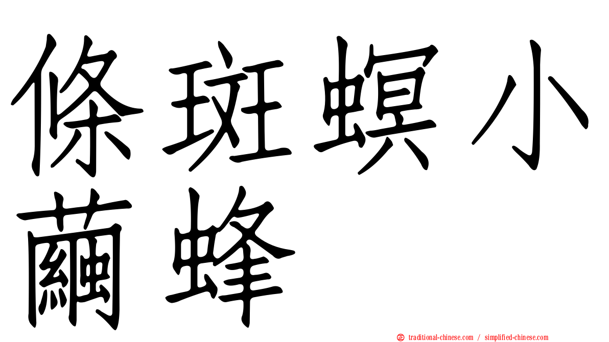條斑螟小繭蜂