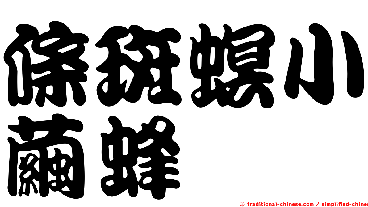條斑螟小繭蜂