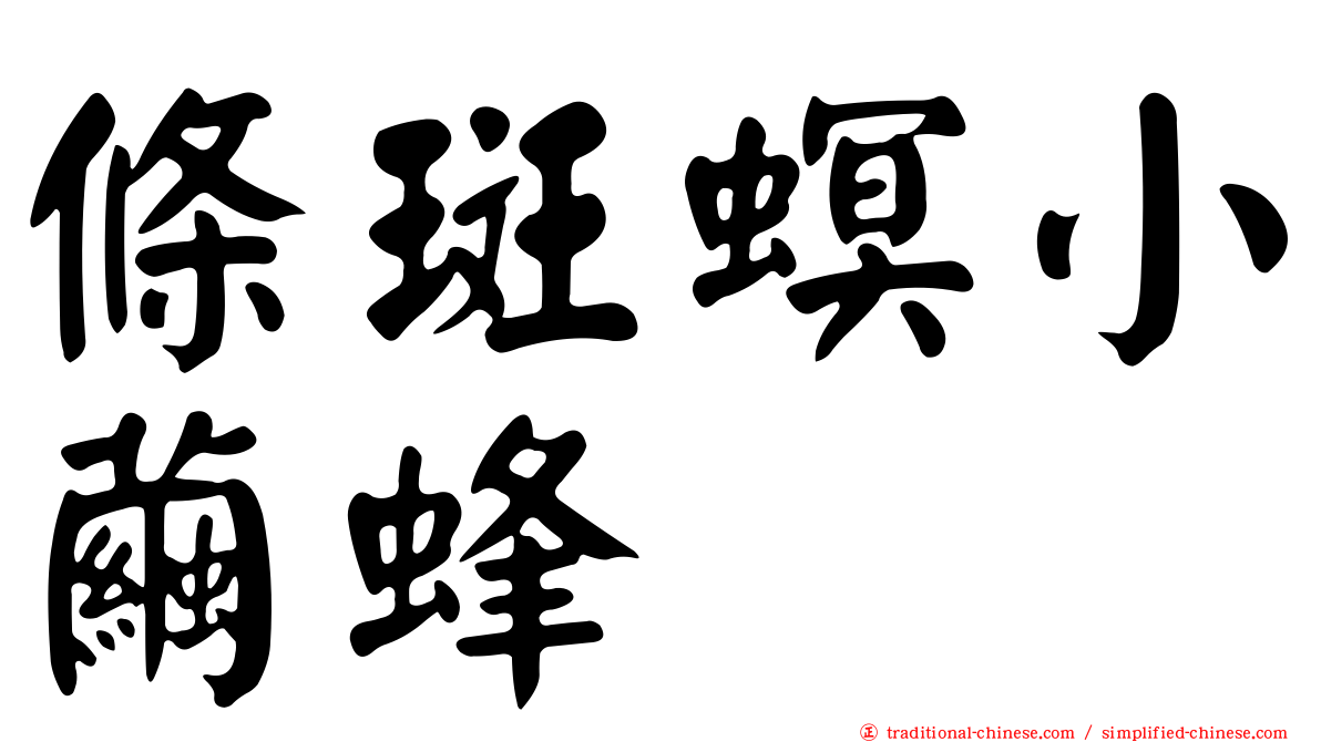 條斑螟小繭蜂