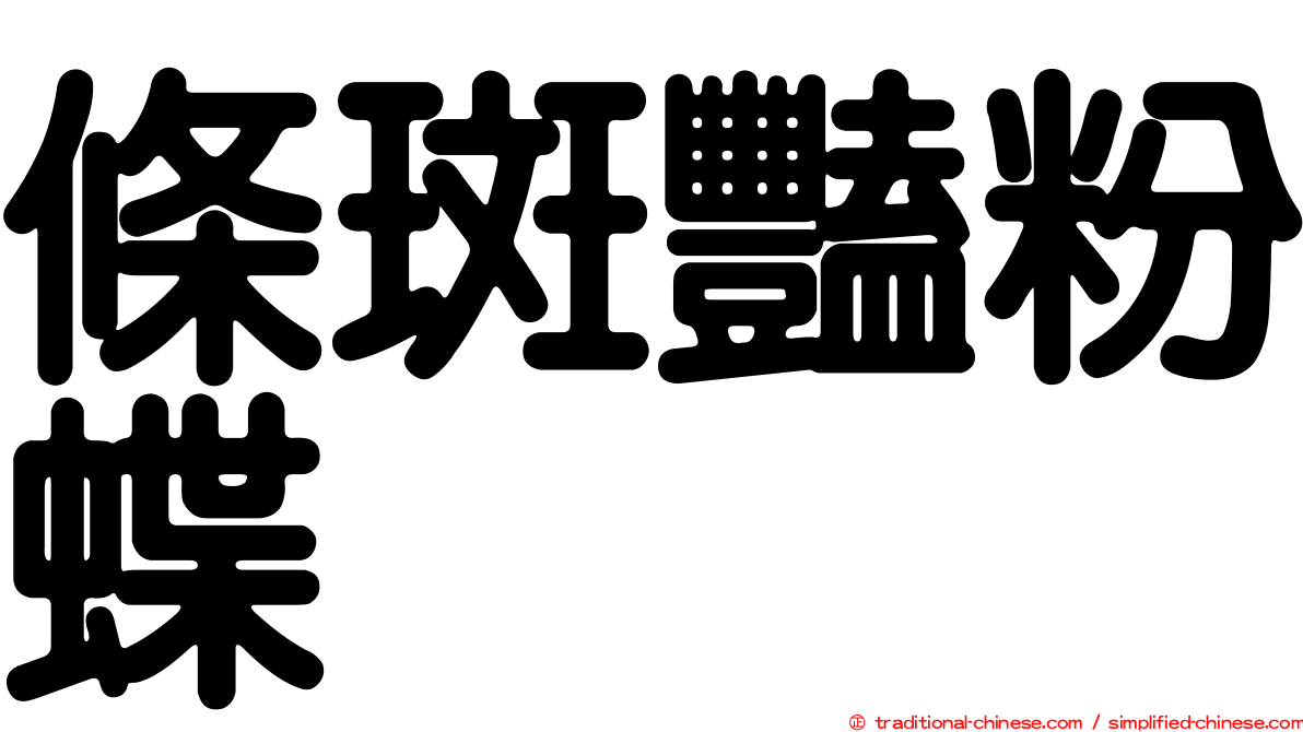 條斑豔粉蝶
