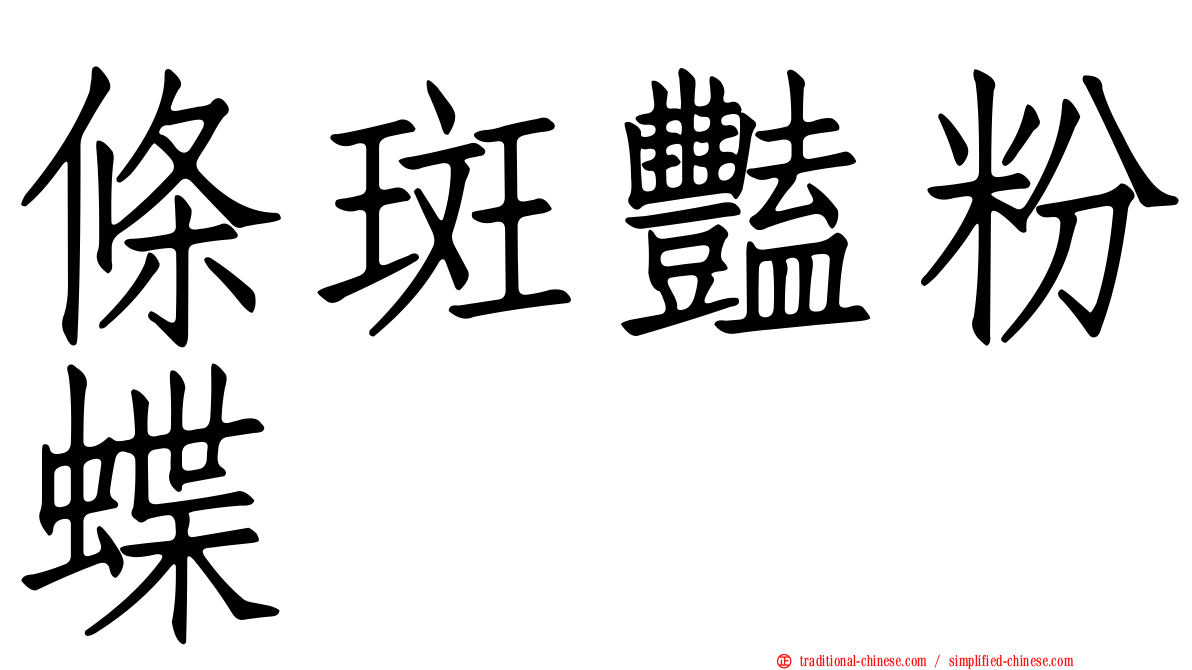 條斑豔粉蝶