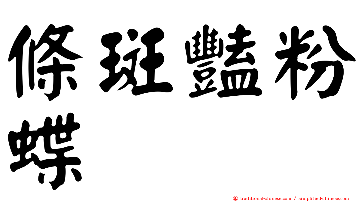 條斑豔粉蝶