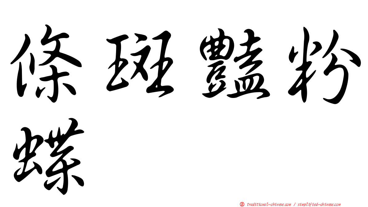條斑豔粉蝶