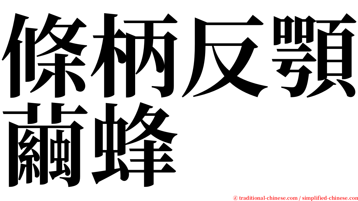 條柄反顎繭蜂 serif font