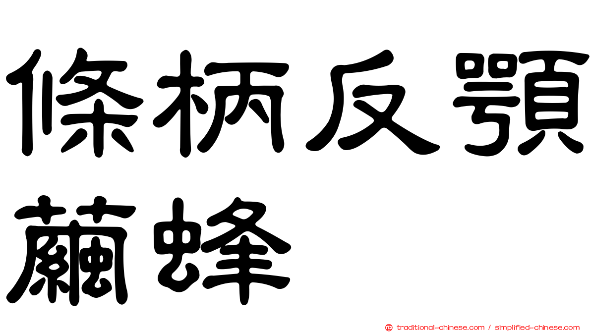 條柄反顎繭蜂