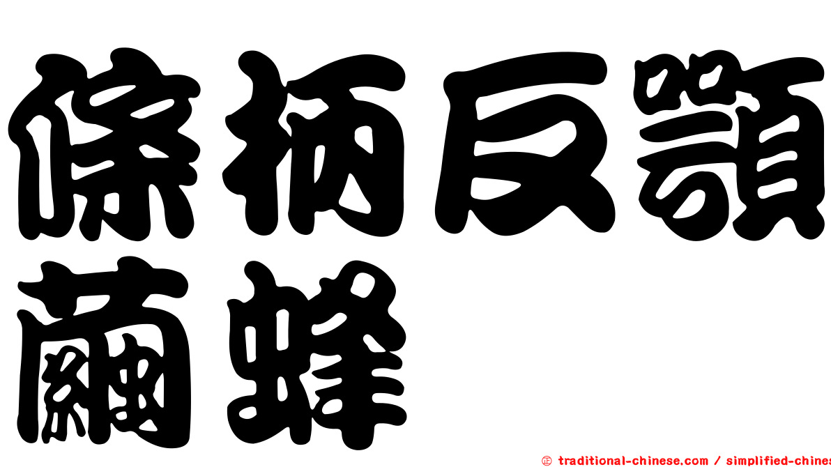 條柄反顎繭蜂