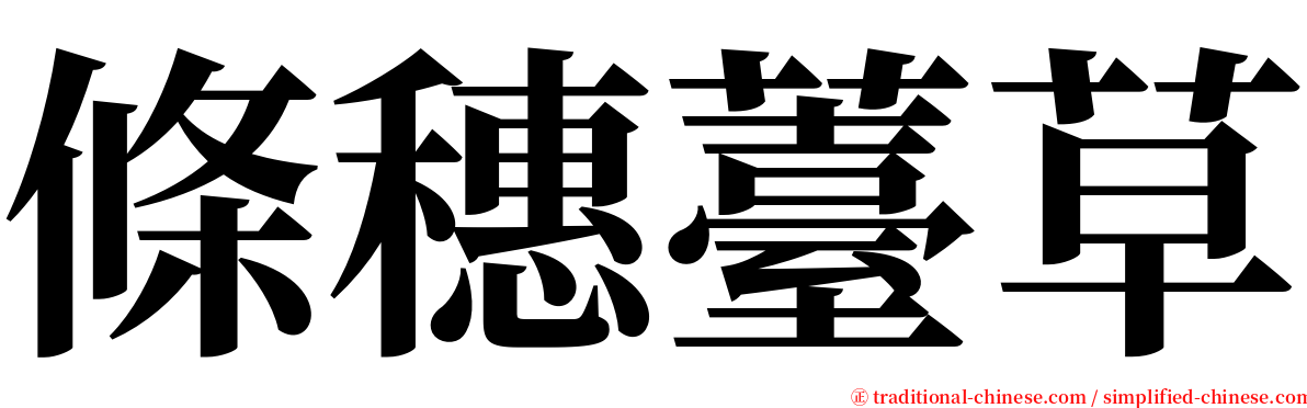 條穗薹草 serif font