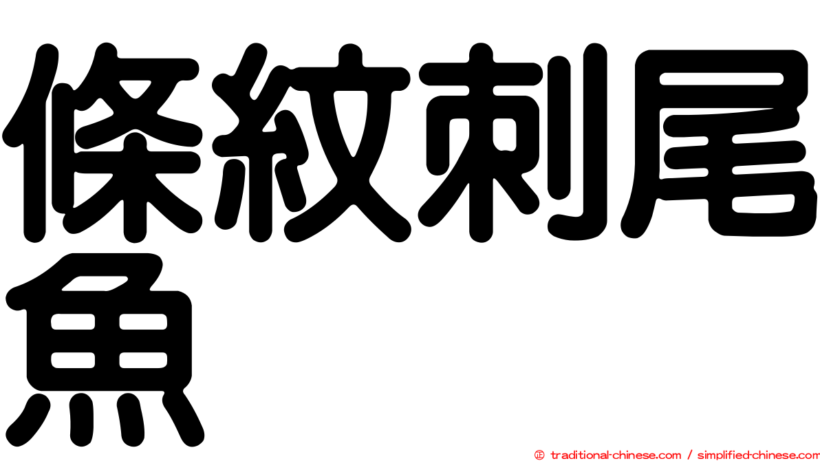 條紋刺尾魚