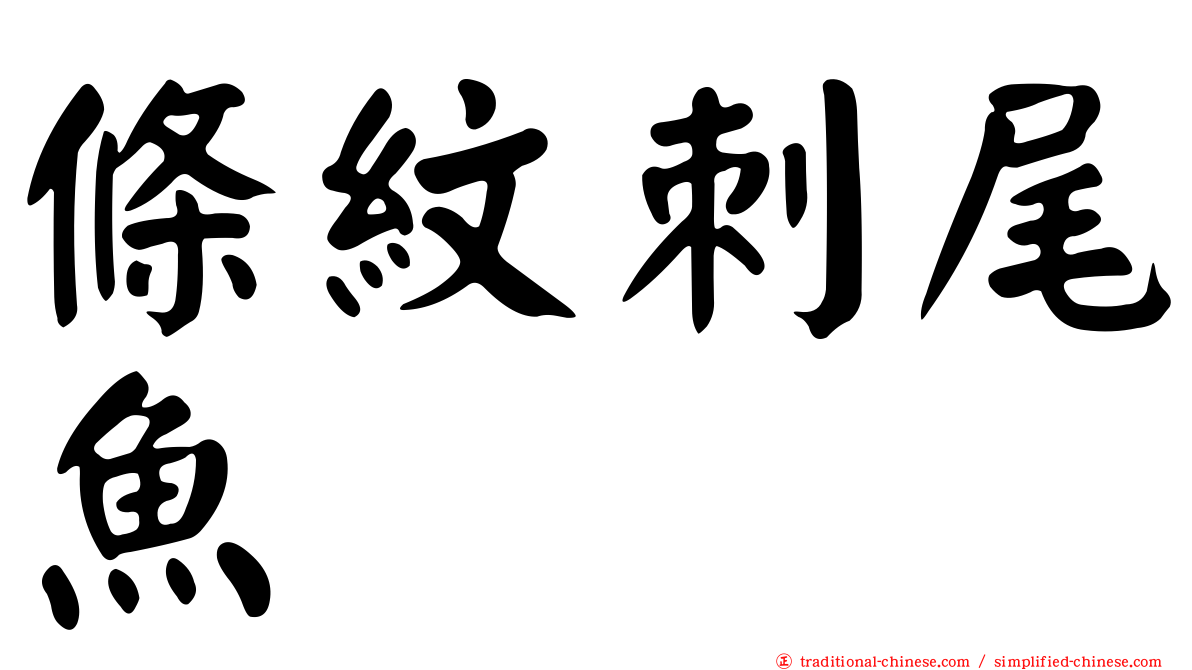 條紋刺尾魚